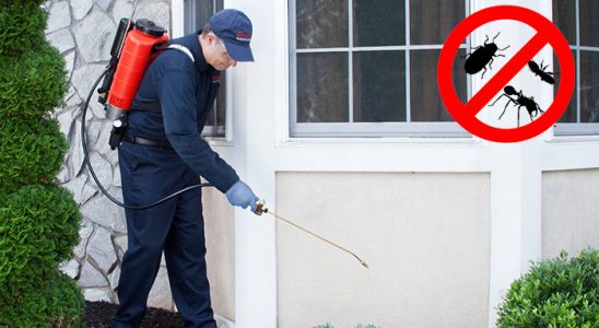 Pehlivanköy Tahtakurusu İlaçlama böcek ilaçlama ve haşere kontrolü — ilaclama-tr.com